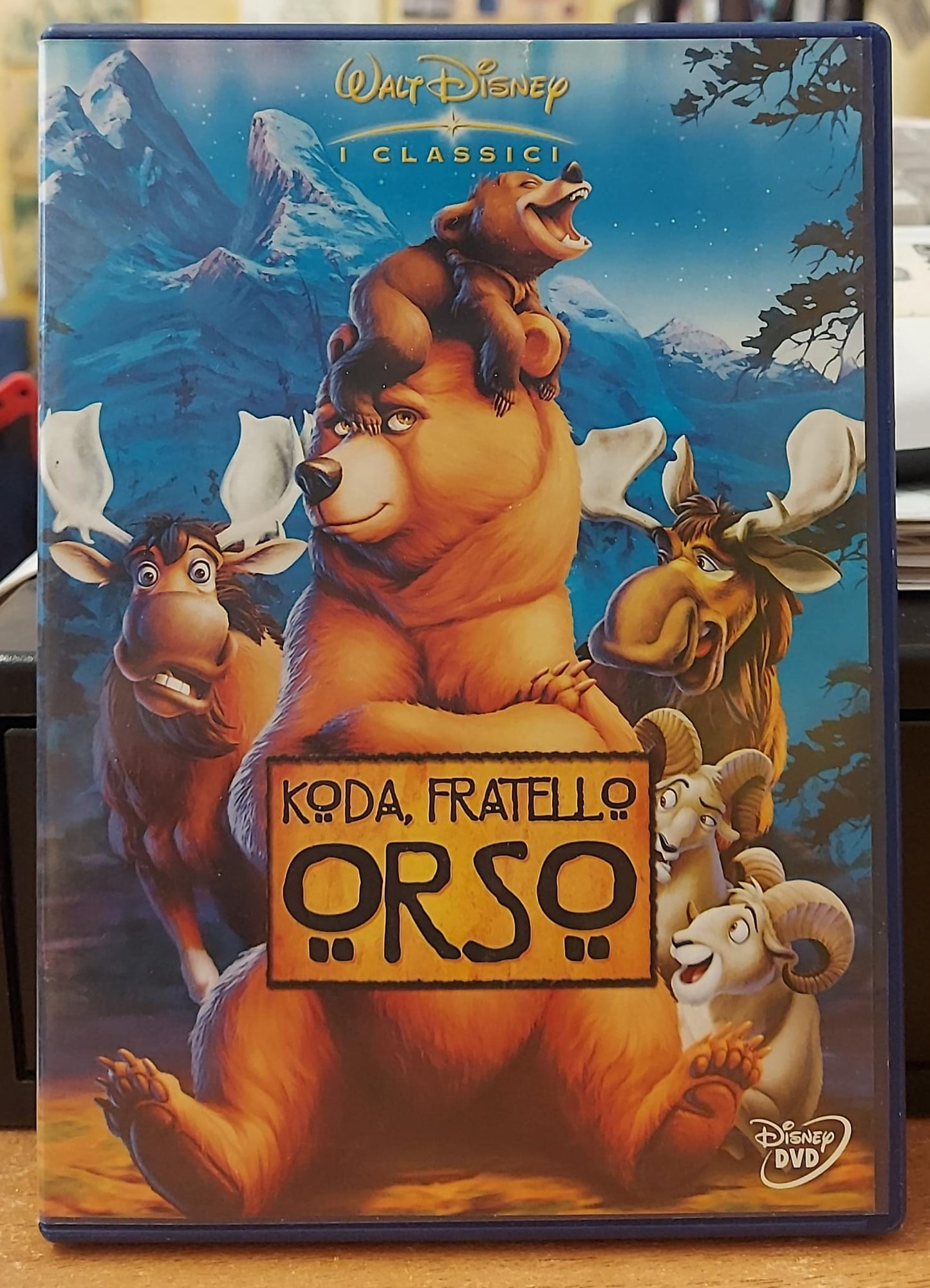 KODA FRATELLO ORSO