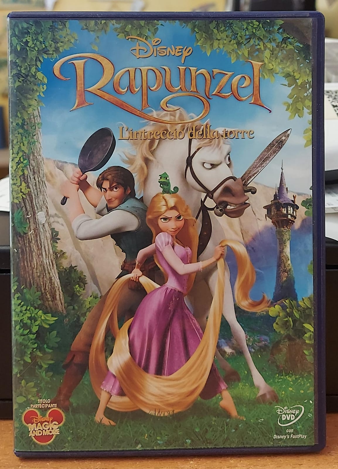 RAPUNZEL L'INTRECIO DELLA TORRE
