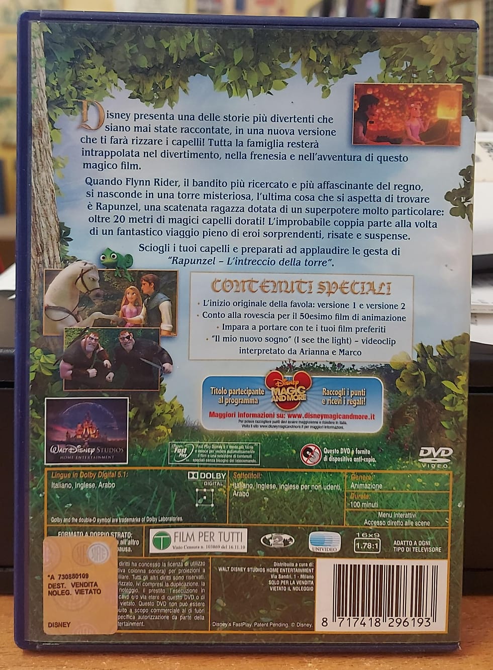 RAPUNZEL L'INTRECIO DELLA TORRE