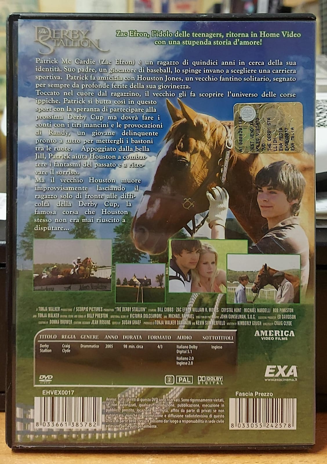 THE DERBY STALLION