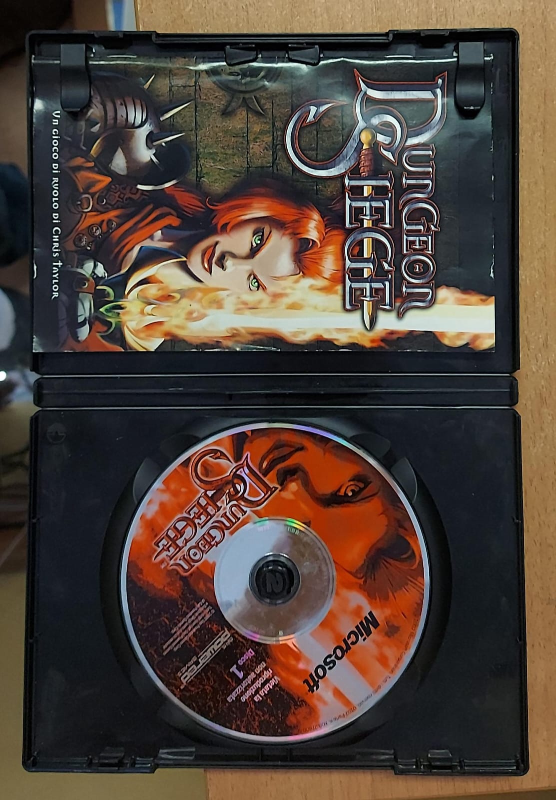 DUNGEON SIEGE