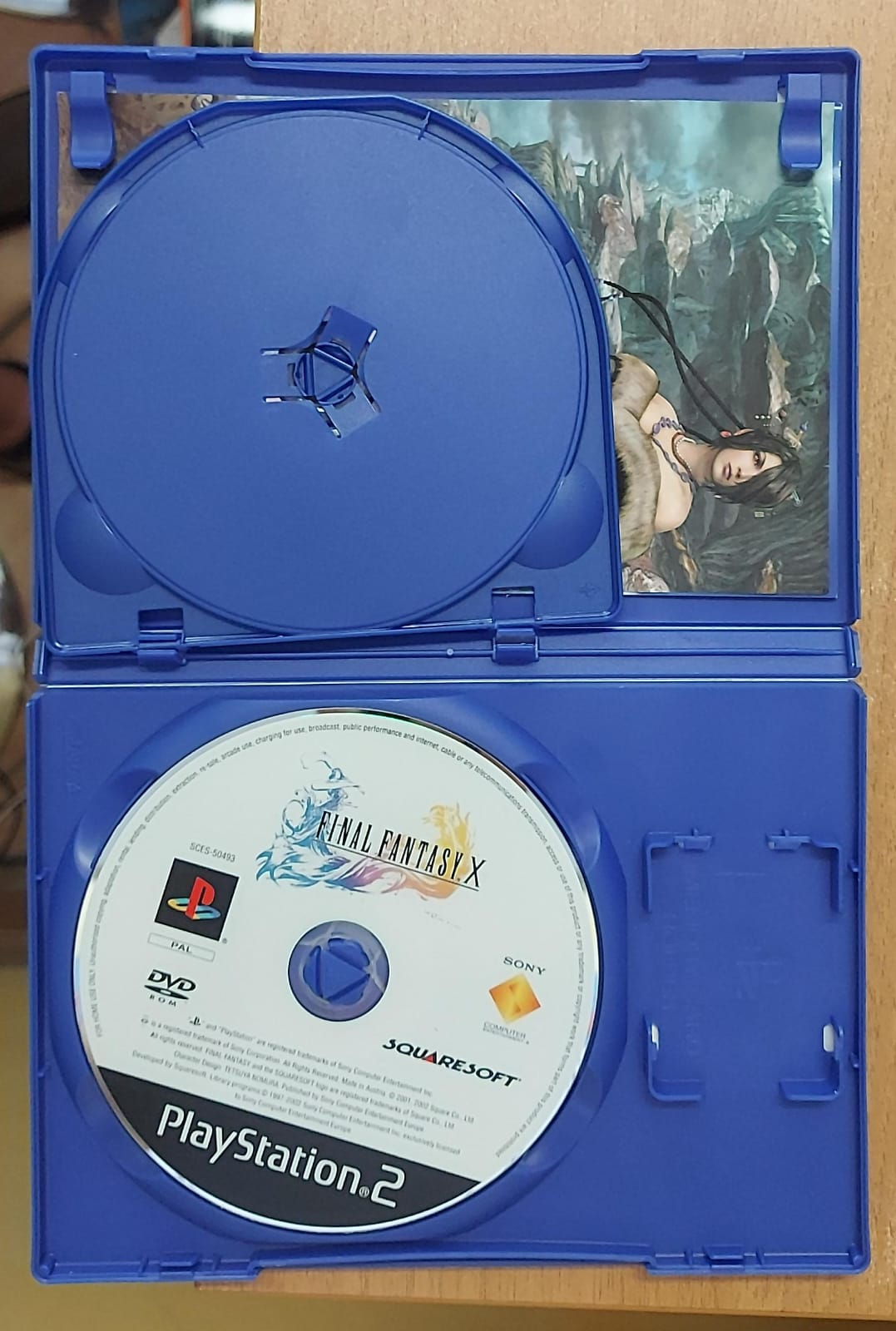 FINAL FANTASY X