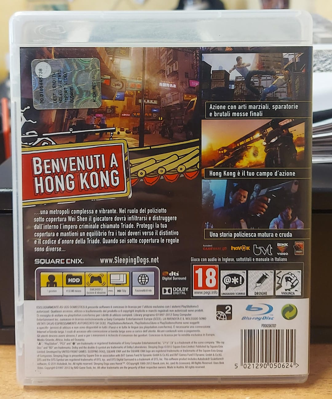 SLEEPING DOGS