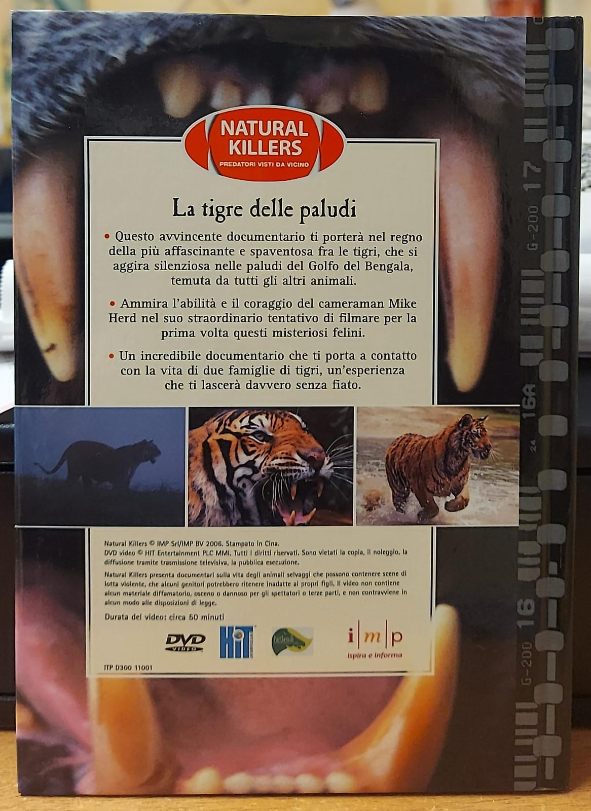 TIGRE DELLE PALUDI