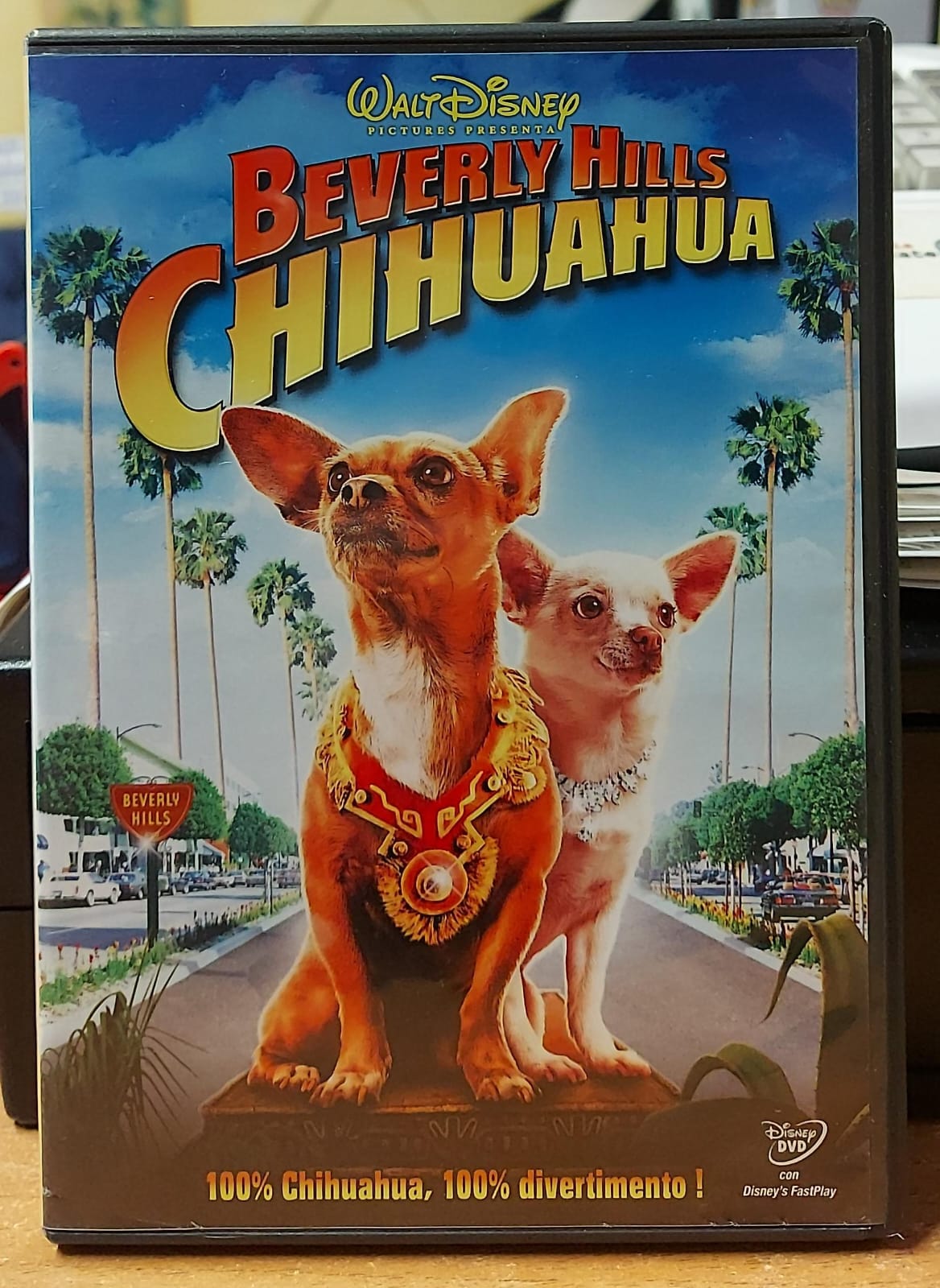 BEVERLY HILLS CHIHUAHUA