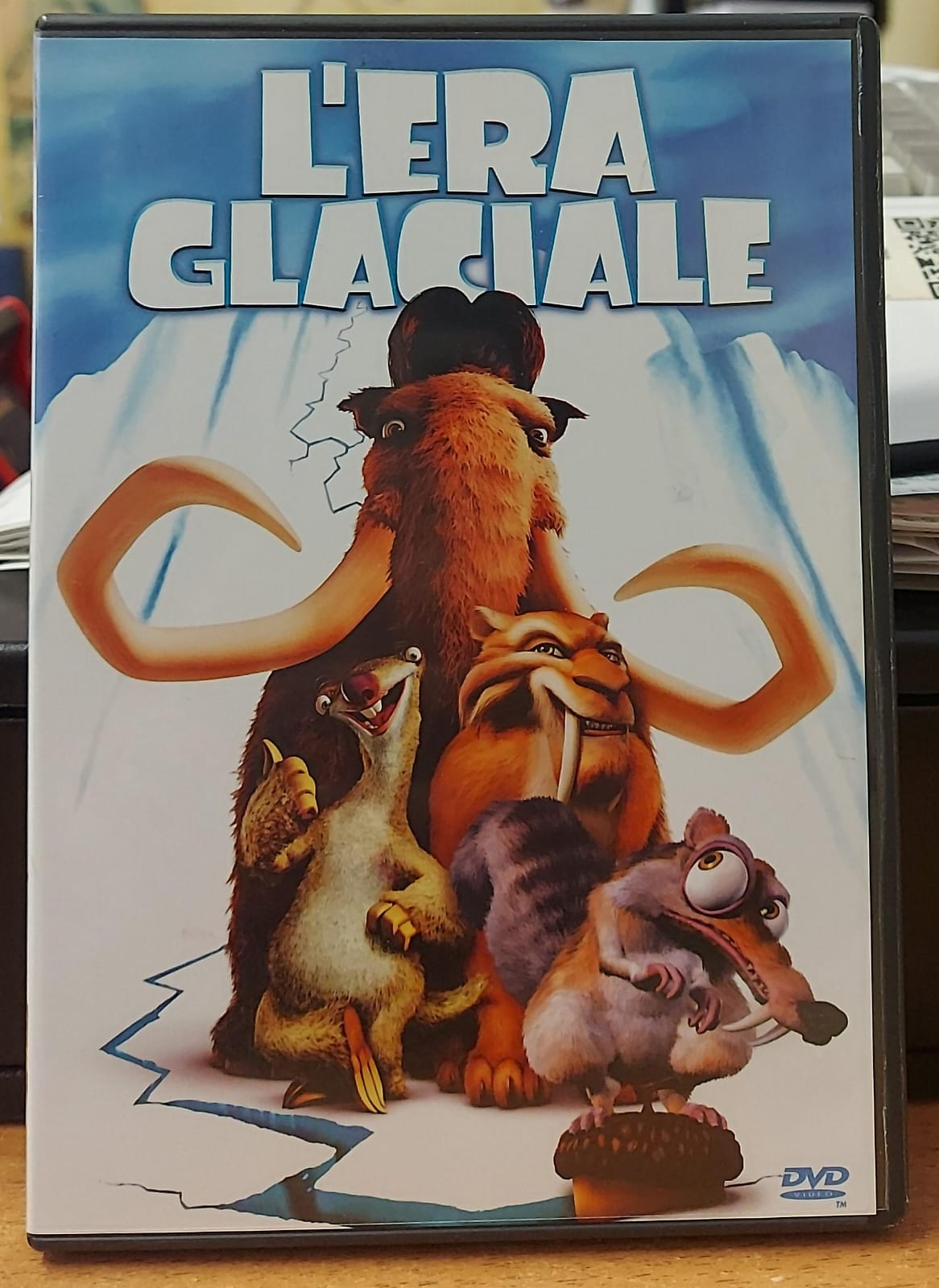 L'ERA GLACIALE