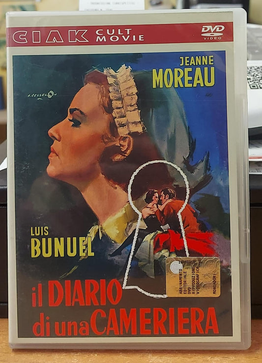 IL DIARIO DI UNA CAMERIERA