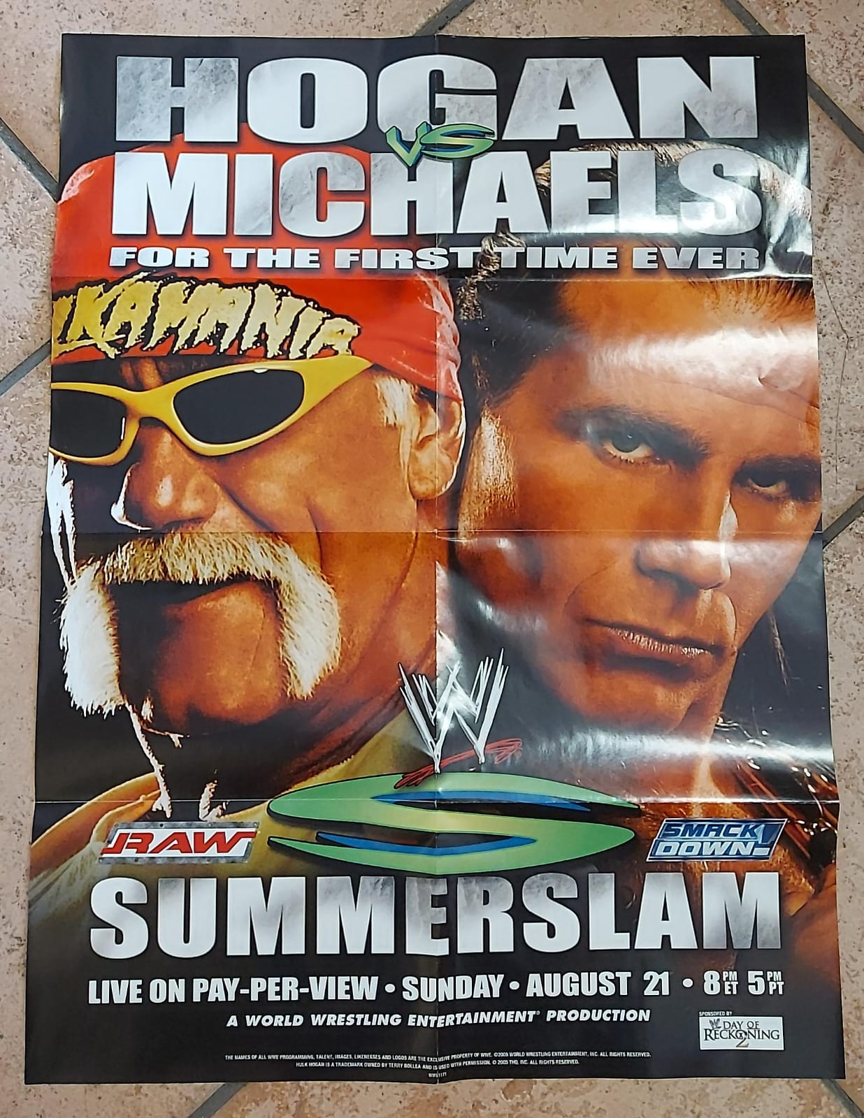 SUMMERSLAM 2005 HOGAN & MICHAELS