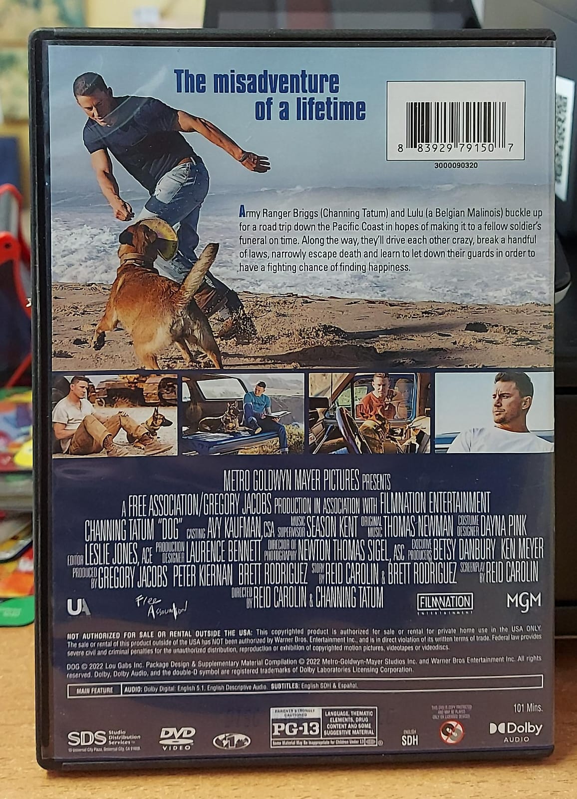 DOG (IO & LULU') - LINGUA INGLESE AREA 1