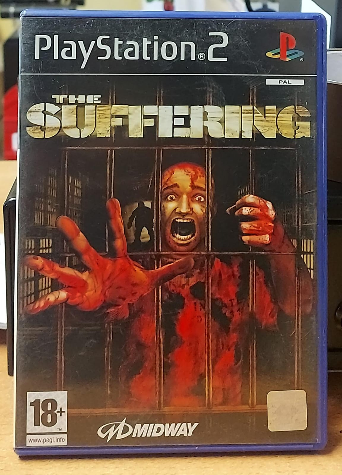 THE SUFFERING - LINGUA INGLESE