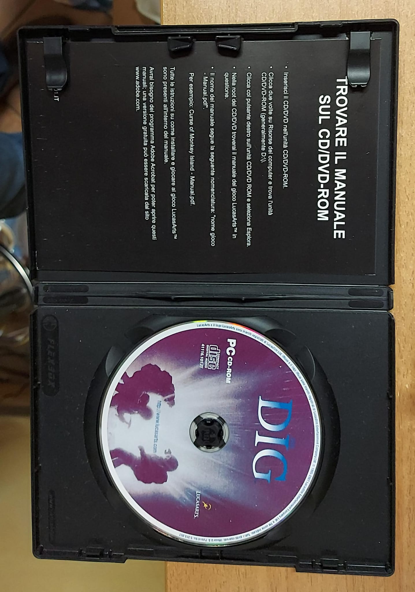 THE DIG