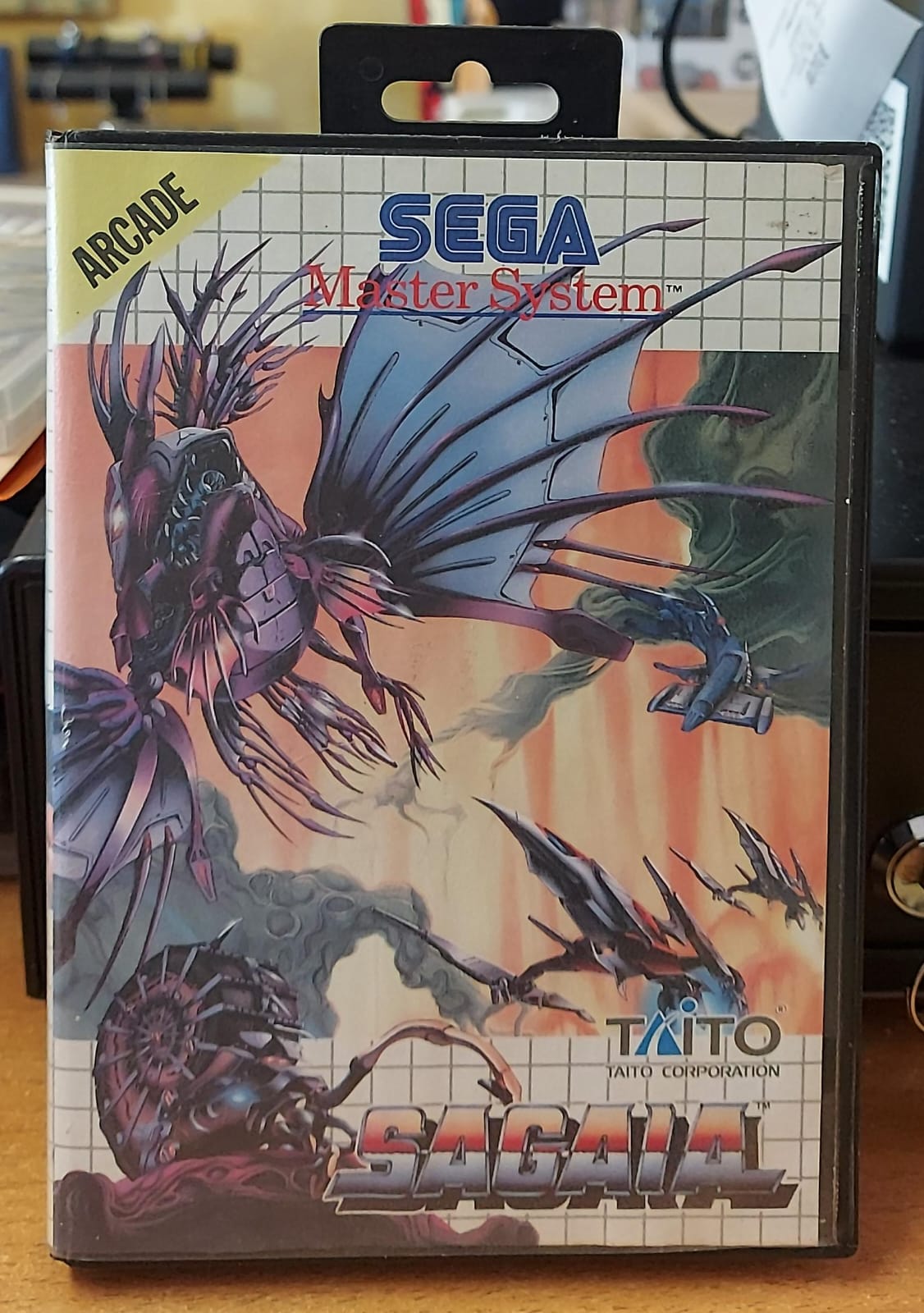 Sagaia – Sega Master System (Usato)