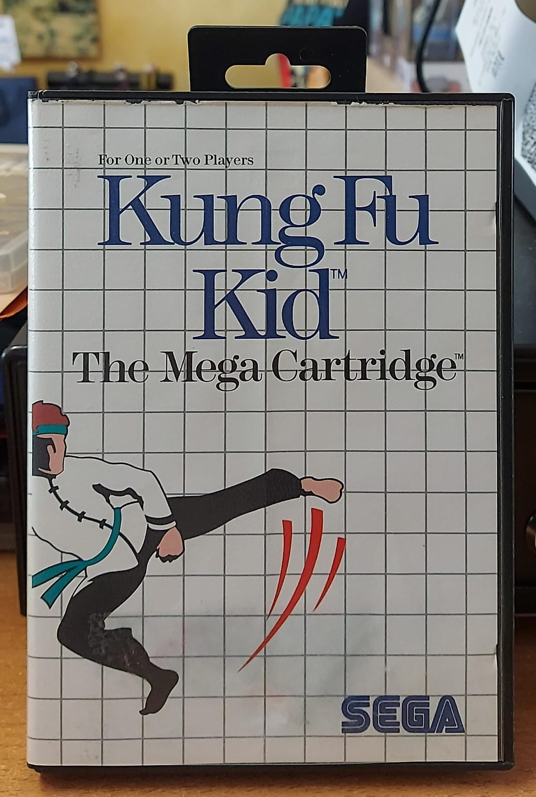Kung Fu Kid – Sega Master System (Usato)