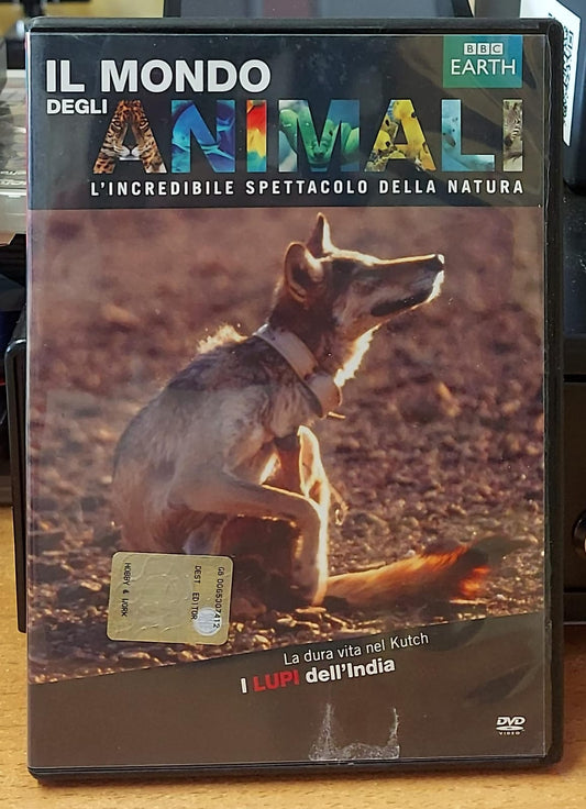 I Lupi dell'India - Il Mondo degli Animali BBC | DVD Usato