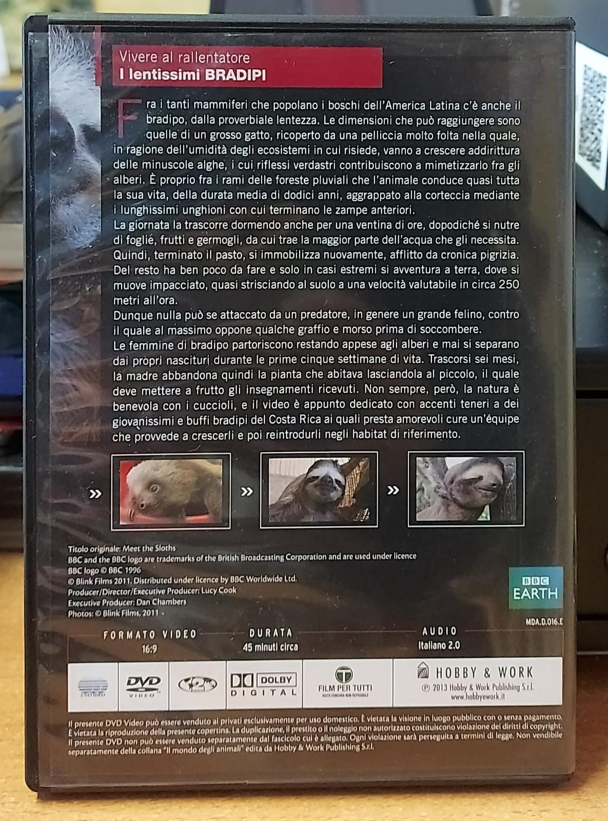 I Lentissimi Bradipi - Il Mondo degli Animali BBC | DVD Usato