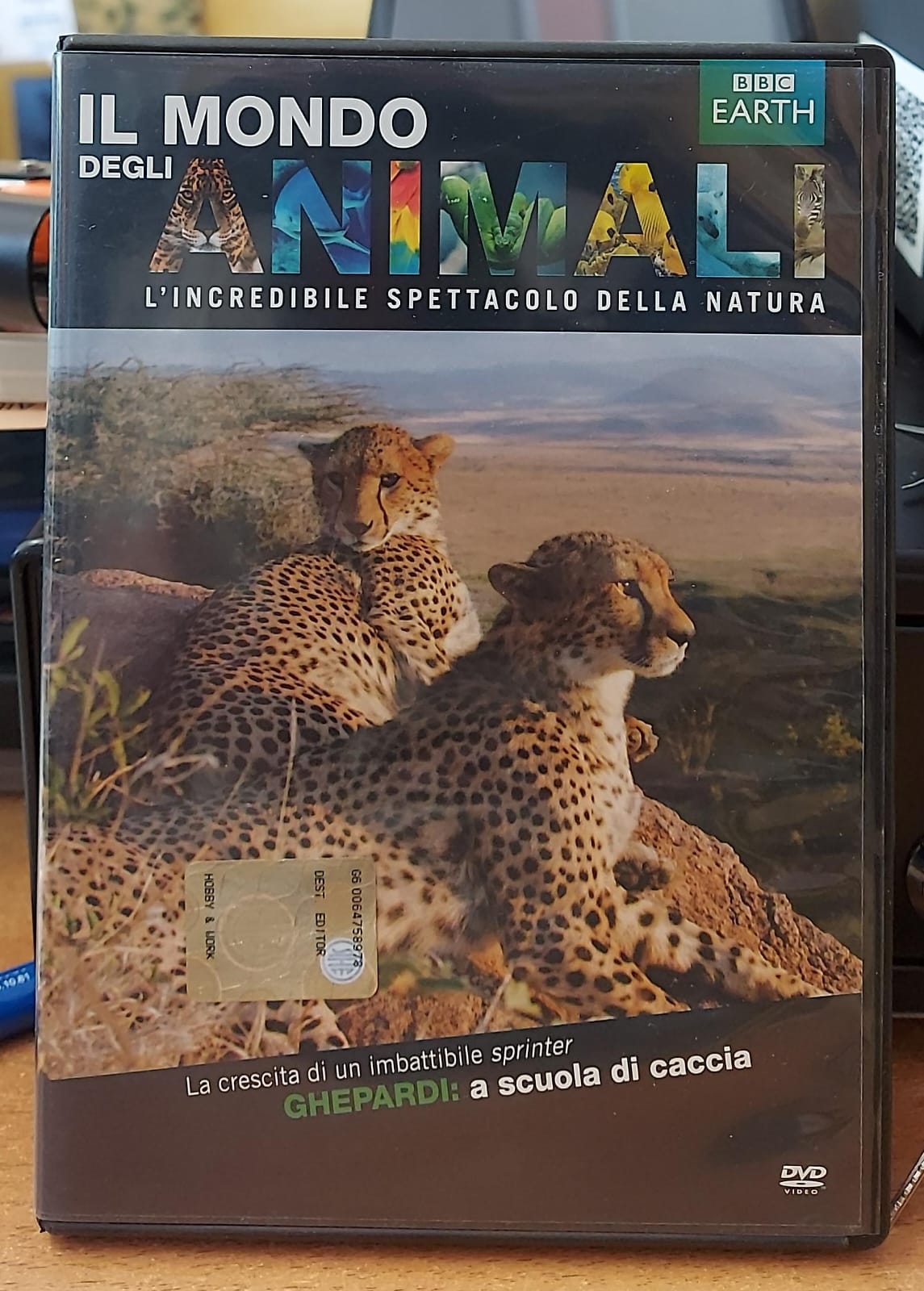 GHEPARDI A SCUOLA DI CACCIA - Il Mondo degli Animali BBC | DVD Usato