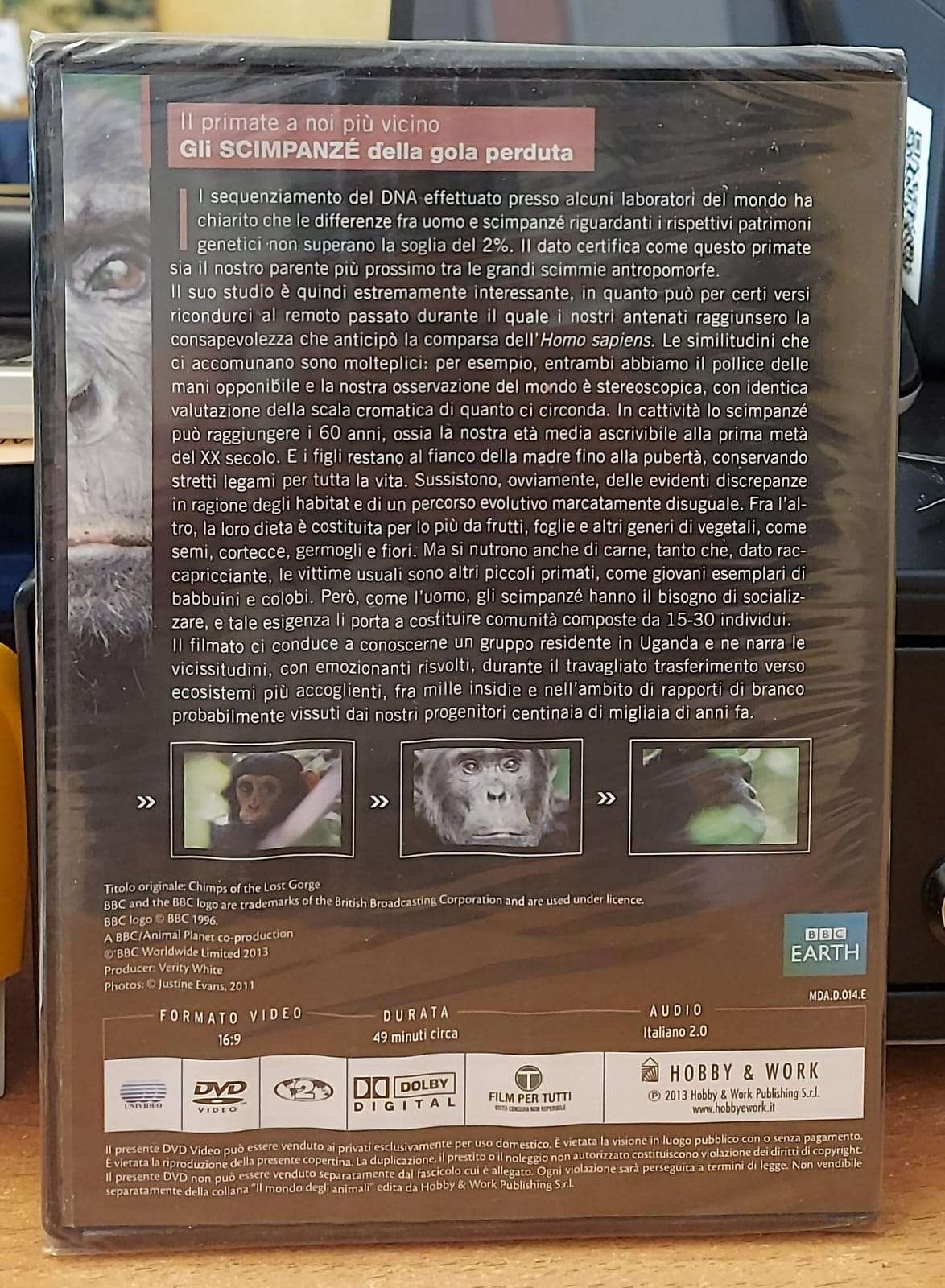 GLI SCIMPANZÉ DELLA GOLA PERDUTA - Il Mondo degli Animali BBC | DVD Nuovo Sigillato