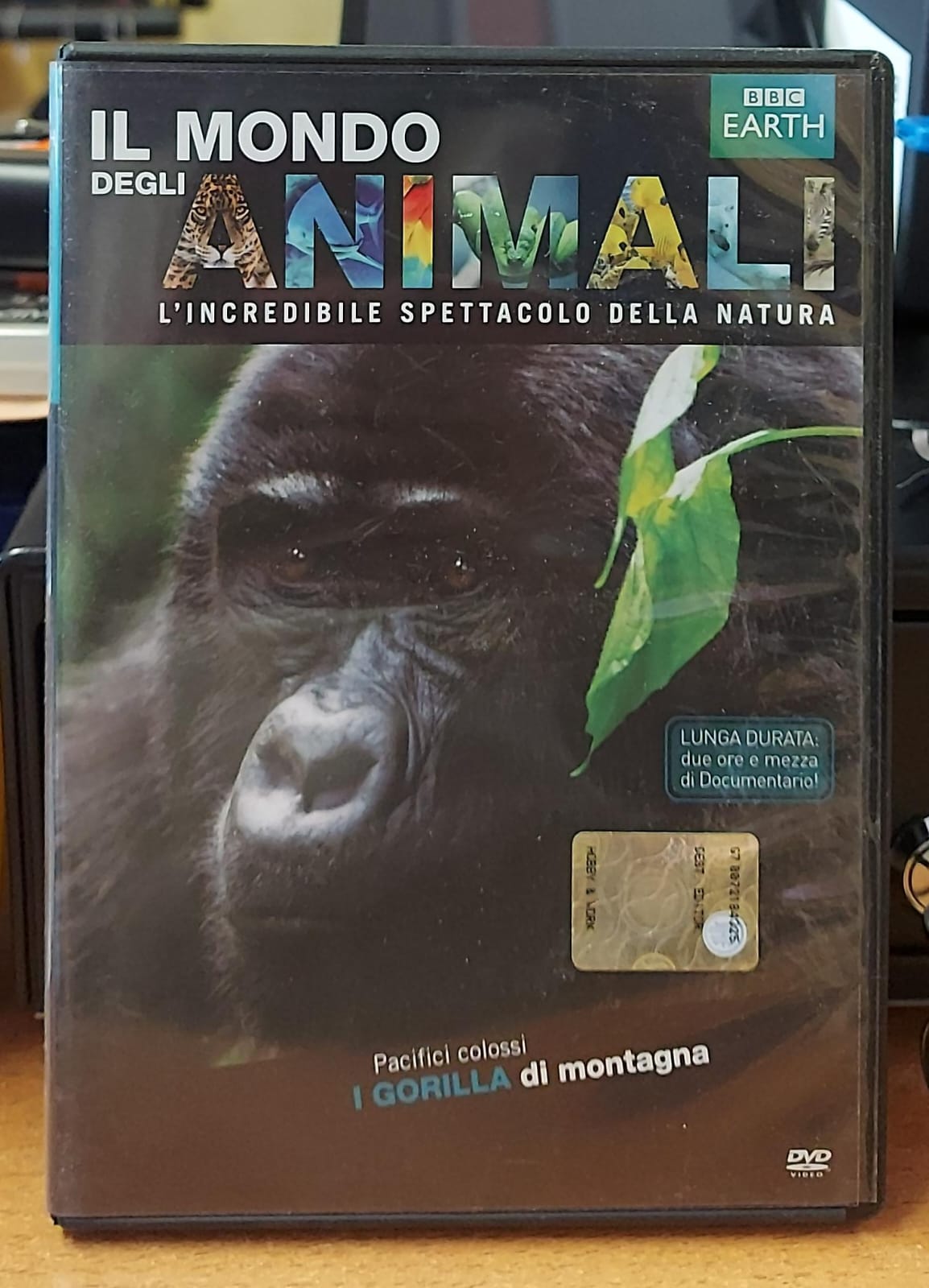 I GORILLA DI MONTAGNA - Il Mondo degli Animali BBC | DVD Usato