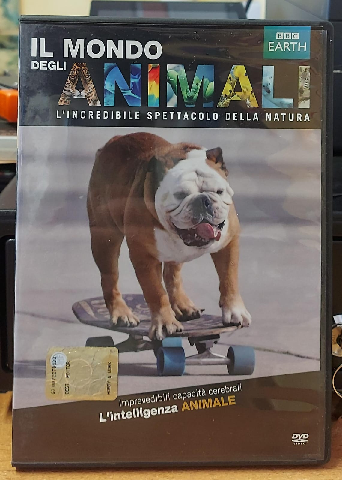 L'Intelligenza Animale – Il Mondo degli Animali BBC | DVD Usato