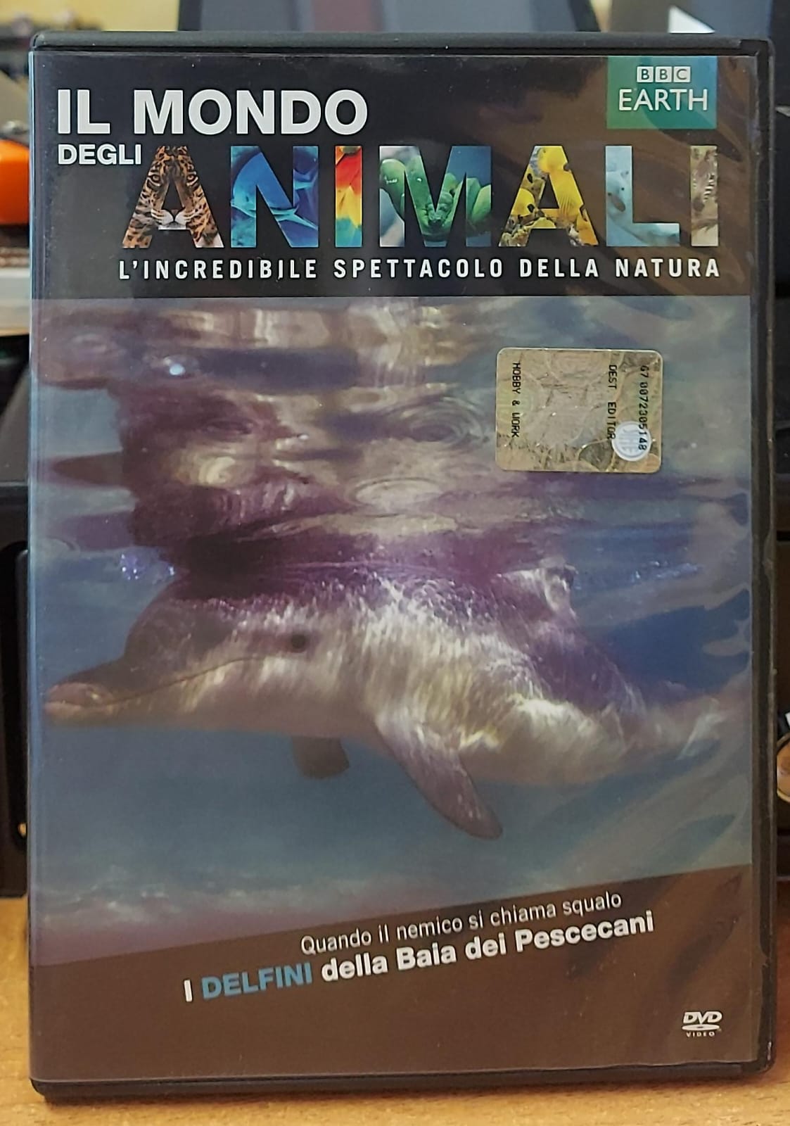 I Delfini della Baia dei Pescecani – Il Mondo degli Animali BBC | DVD Usato