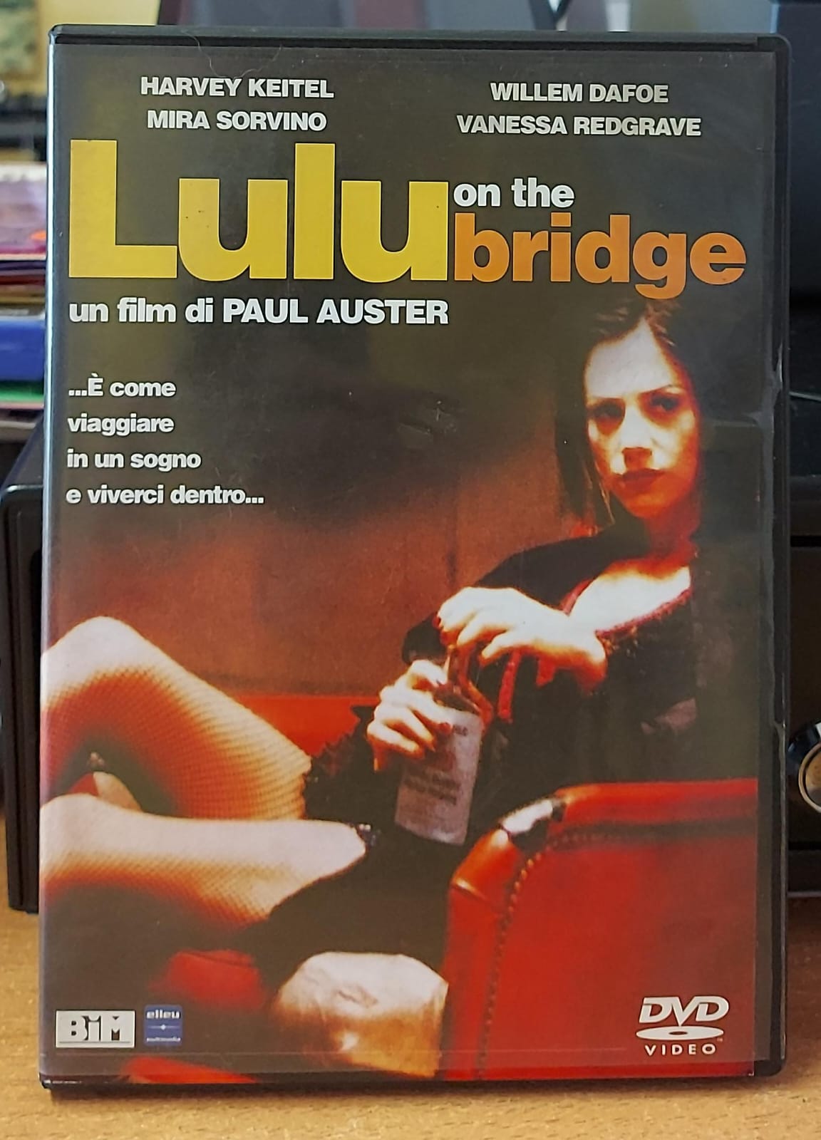 Lulu on the Bridge – DVD Usato