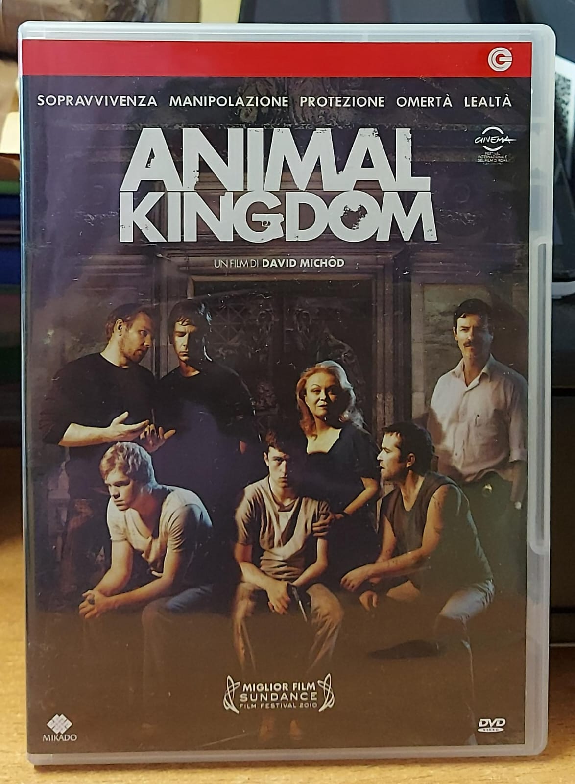 Animal Kingdom - DVD Usato