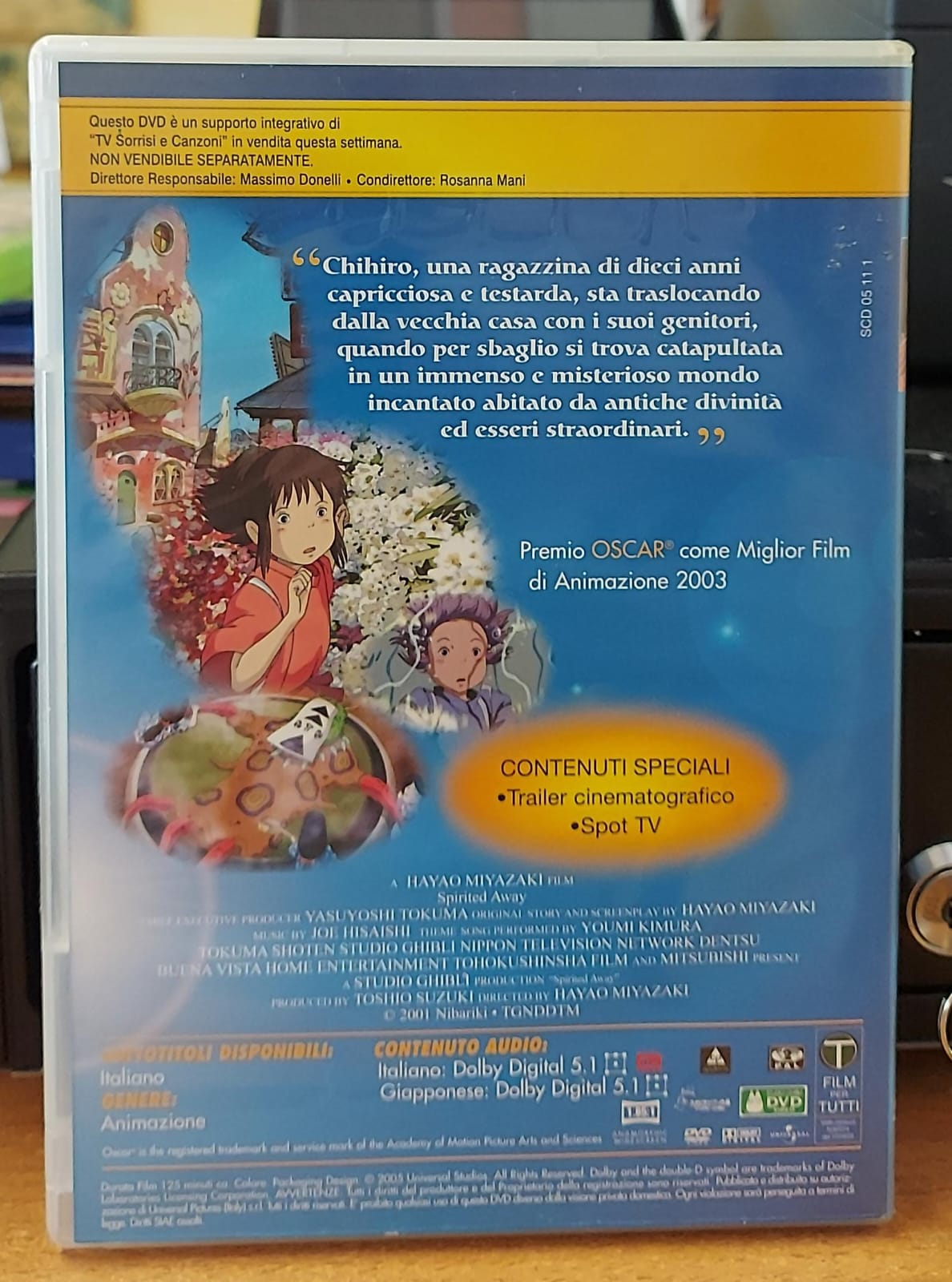 La Città Incantata (DVD Usato)