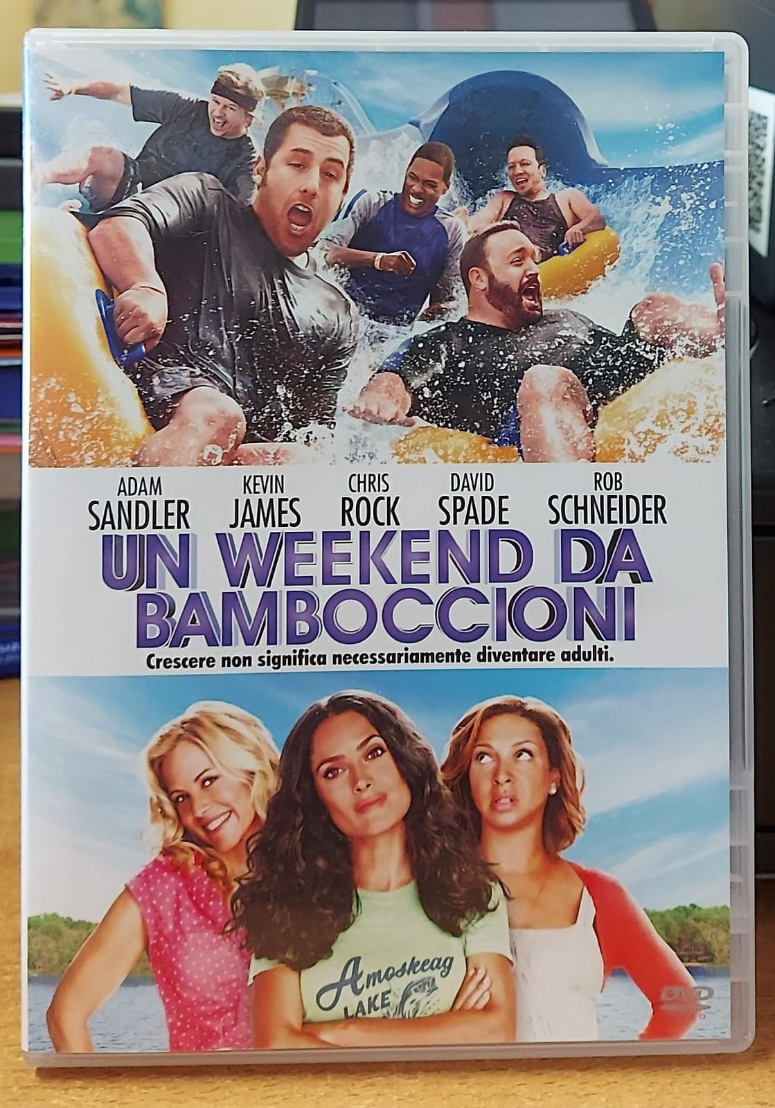 Un Weekend da Bamboccioni (Grown Ups) – Adam Sandler DVD